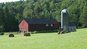 Picture of a barn located at Fieldstones